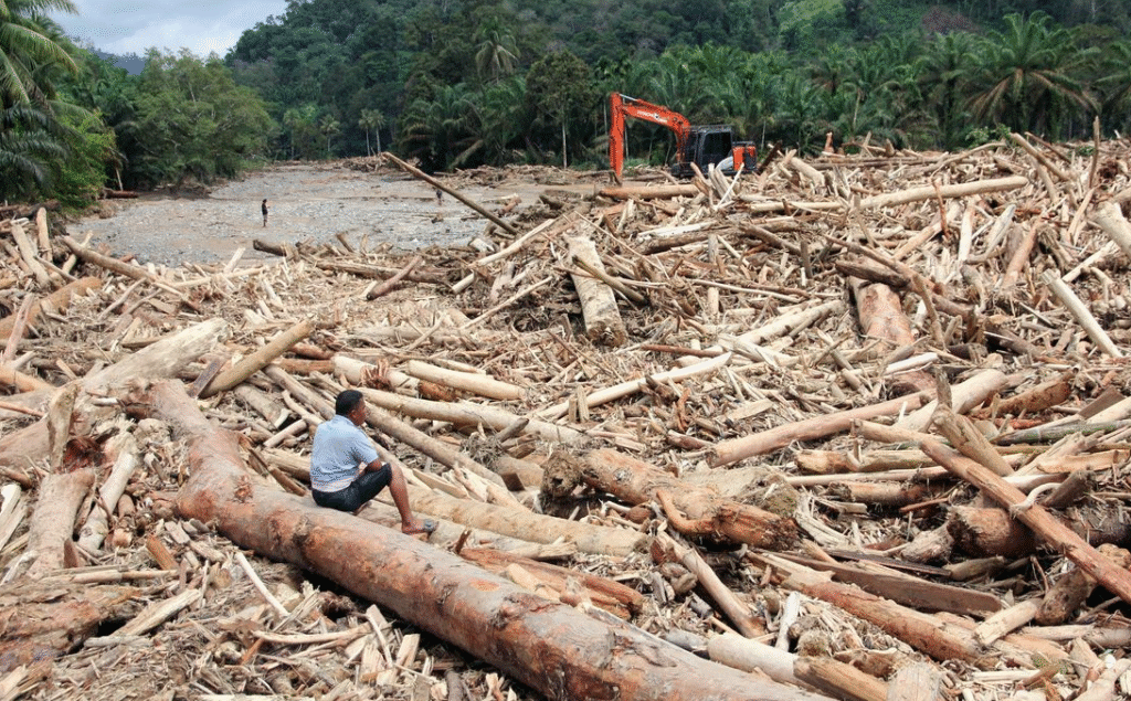 Illegal Logging Penyebab Banjir Sumatera