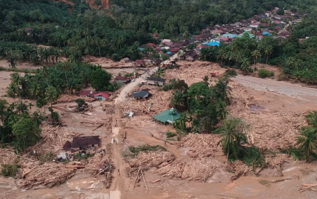 Ilegal Logging Penyebab Banjir Sumatera