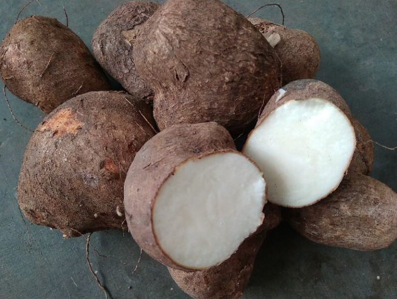 Uwi dan Pangan Bangsa yang Terlupakan