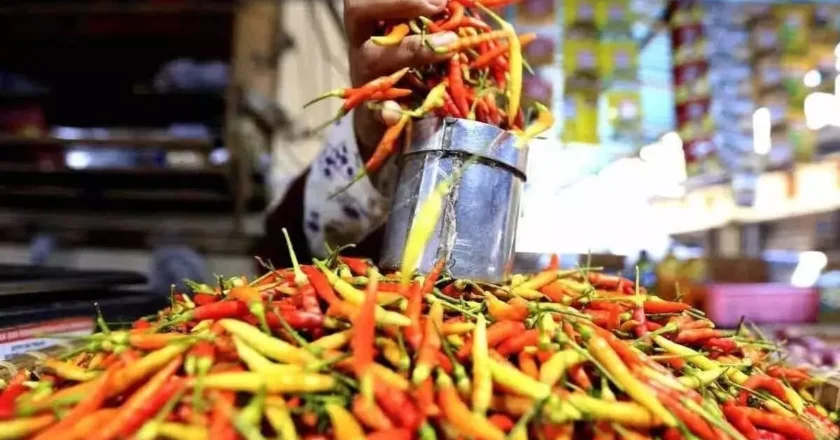 Pemerintah Turun Tangan Atasi Harga Cabai Tinggi Jelang Lebaran 2026