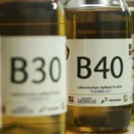 Kedaulatan Energi Terukur: Pemerintah Tunda Mandatori B50 Tahun 2026