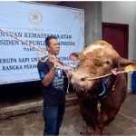 MUI Sebut Kurban Prabowo Pakai APBN Tidak Bermasalah