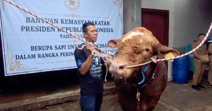 MUI Sebut Kurban Prabowo Pakai APBN Tidak Bermasalah