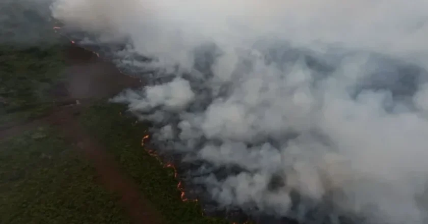 Karhutla Aceh Barat Hanguskan 13 Hektare Lahan, Titik Api Masih Aktif