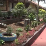 Gerakan Sekolah ASRI Diluncurkan, Kemendikdasmen Tanam Mangrove di Balikpapan